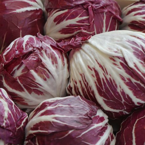 radicchio rosso